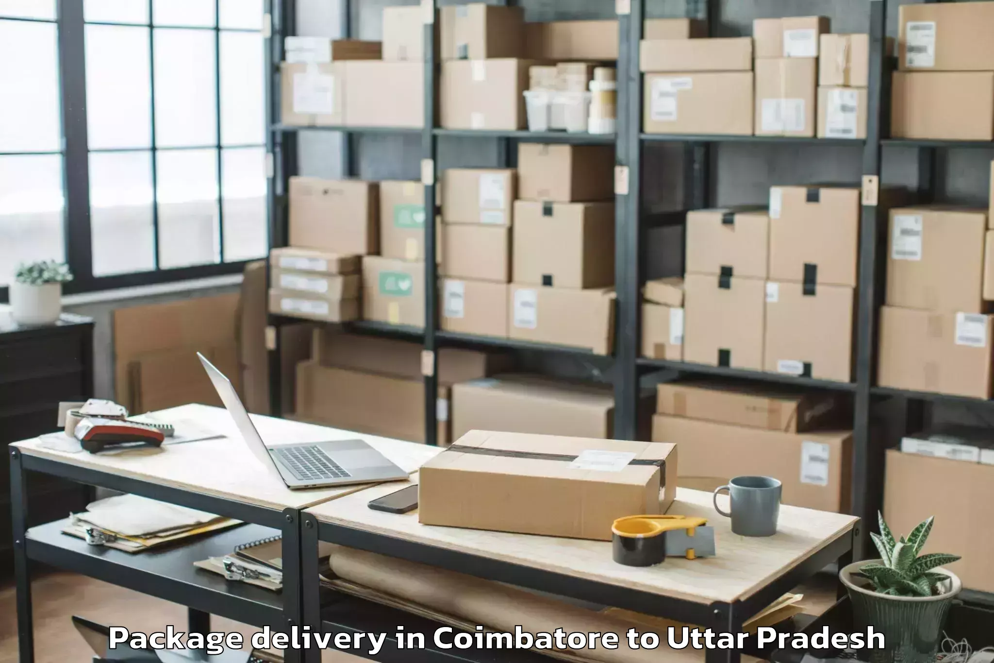 Book Your Coimbatore to Ahraura Package Delivery Today